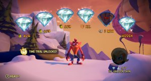 N. Sanely Perfect Relic.jpeg
